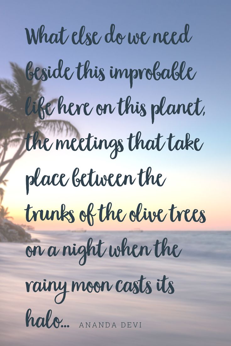 a quote from anana dev on the ocean and palm trees