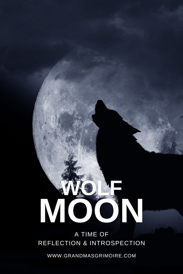 Wolf Moon: A Time of Deep Reflection and Introspection Full Wolf Moon 2024, Full Moon Calendar, Moon Information, Moon Craft, Shadow Work Spiritual, Wiccan Rede, Next Full Moon, Opening Your Third Eye, Moon Crafts