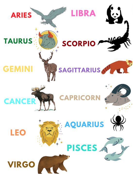 the zodiac sign with different animals and their names