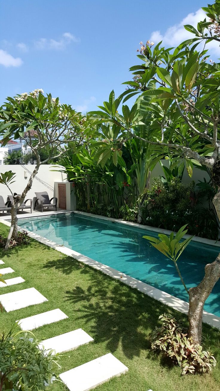 an empty swimming pool surrounded by greenery