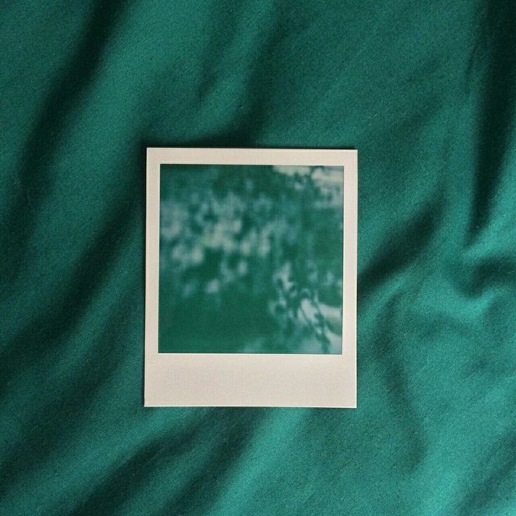 a polaroid photo sitting on top of a green blanket