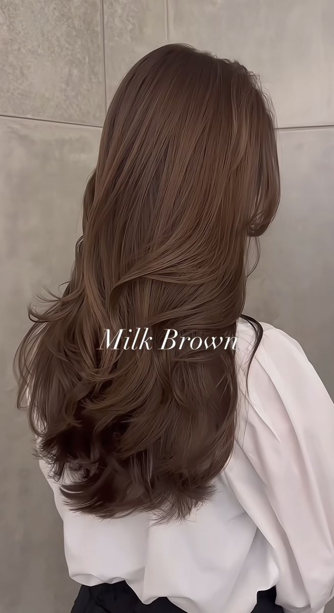 Brunette Hair Ideas Colour, Milk Coffee Hair Color, Korean Hair Color Milk Tea Brown, Medium Brown Hair No Highlights, Milk Brown Hair Korean, Types Of Brown Hair Color, Classy Brown Hair, Full Brown Hair Colour, Korean Hair Color 2024 Trends