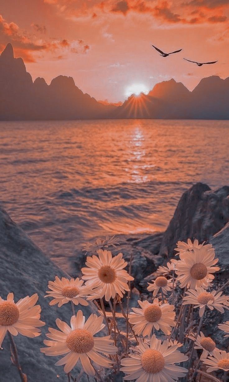 the sun is setting over some water and flowers