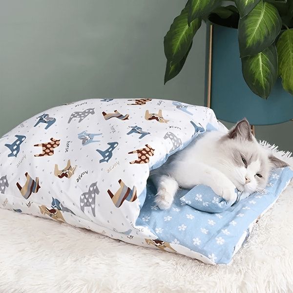 a white cat laying on top of a blue blanket