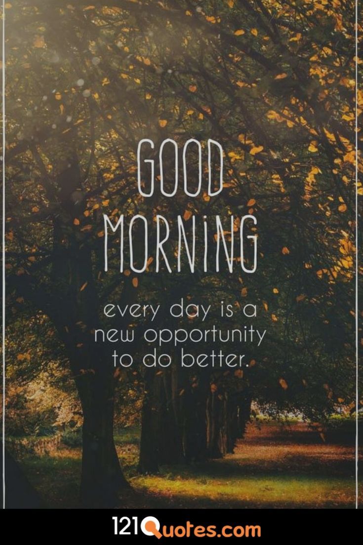 the words good morning every day is a new opportunity to do better in front of trees