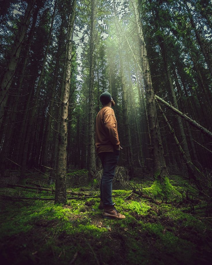 a man standing in the middle of a forest looking up at the sun shining through the trees