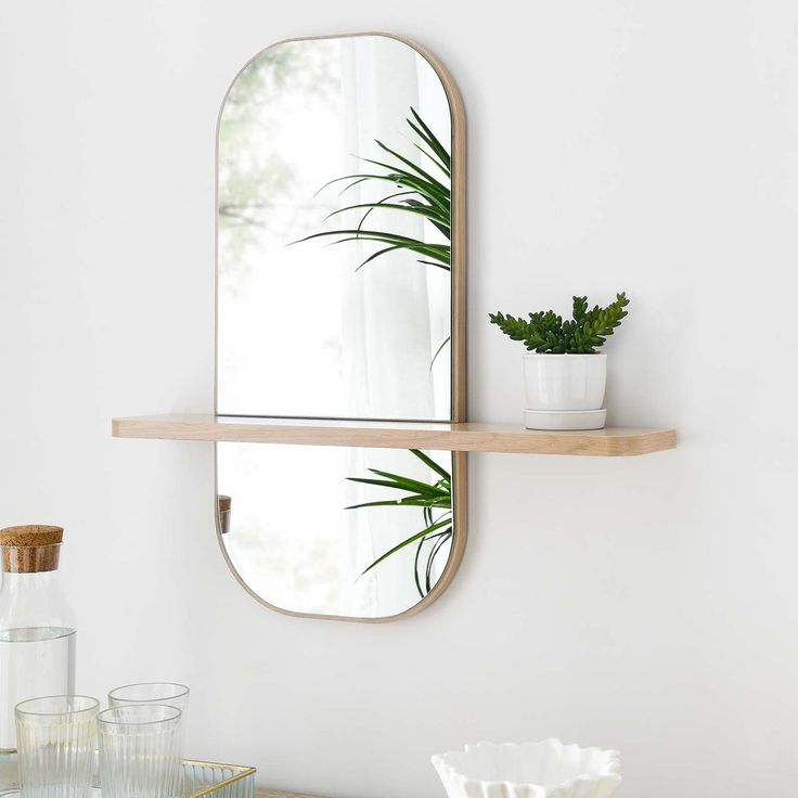 a mirror and some plants on a shelf