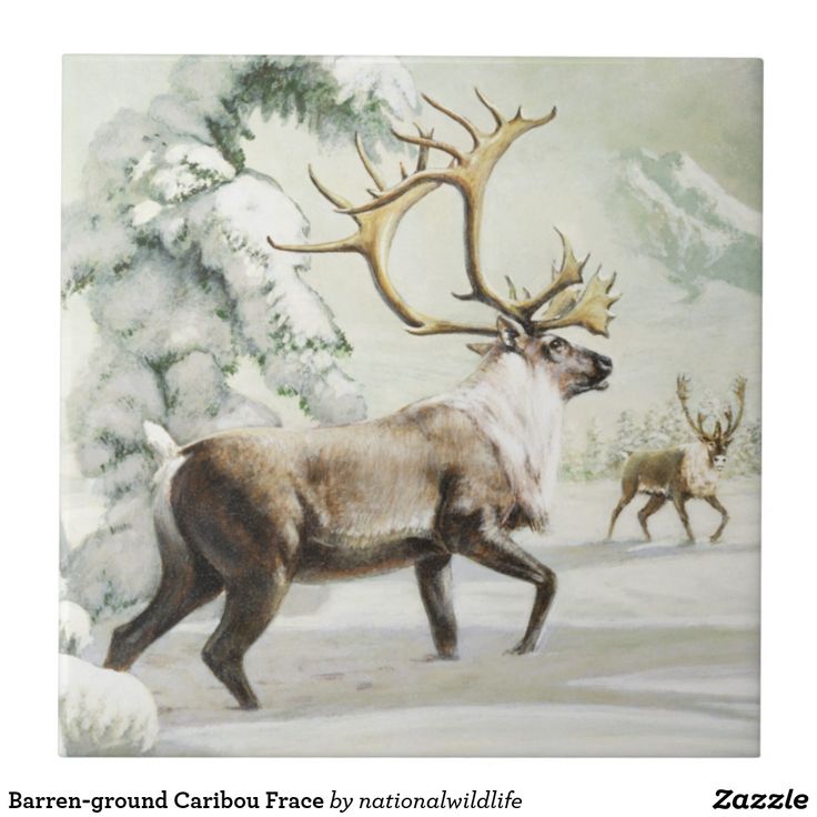 a painting of some deer in the snow