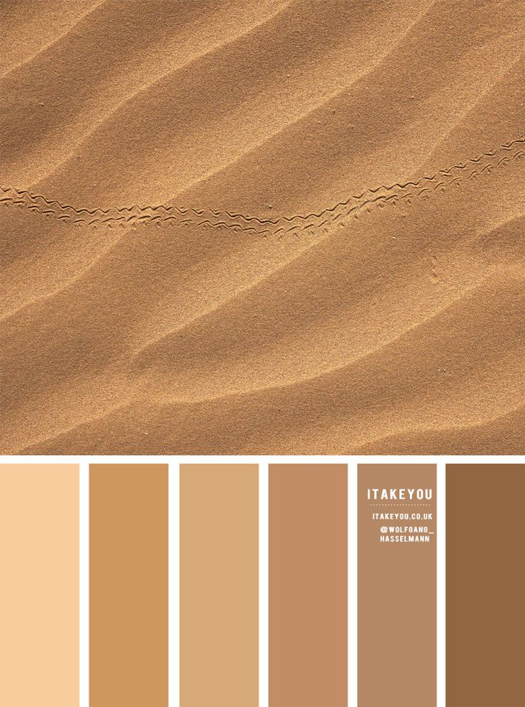 the color palette is brown, tan and beige with some white lines in front of it