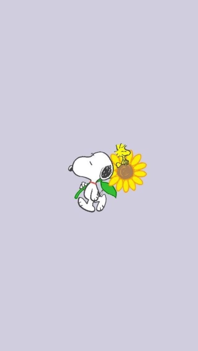 snoopy holding a sunflower in his hand