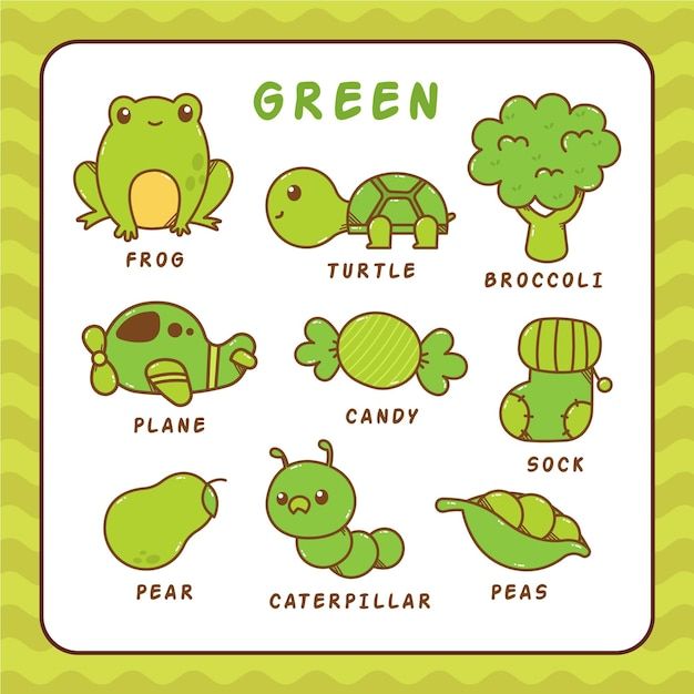 a green poster with different types of animals