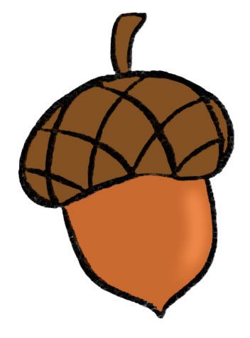 an acorn is shown on a white background in this drawing, it appears to be brown