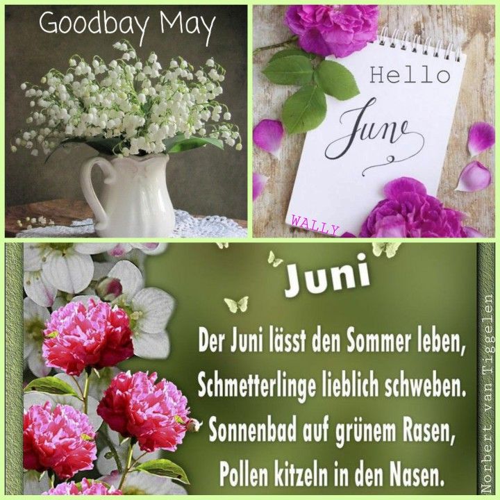 three different pictures with flowers in them and the words hello june written on one side