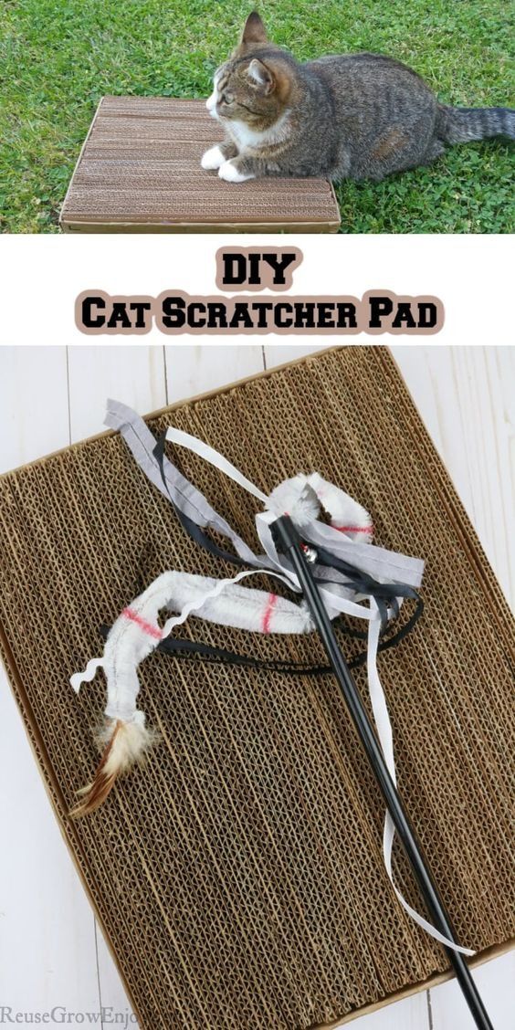 the cat scratcher pad is an easy way to keep cats from scratching