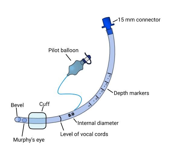 a diagram showing the parts of a balloon and how it is attached to a pole