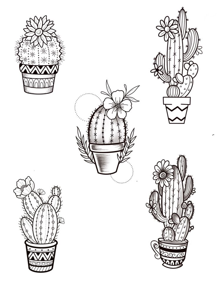 six cactuses with different designs on them