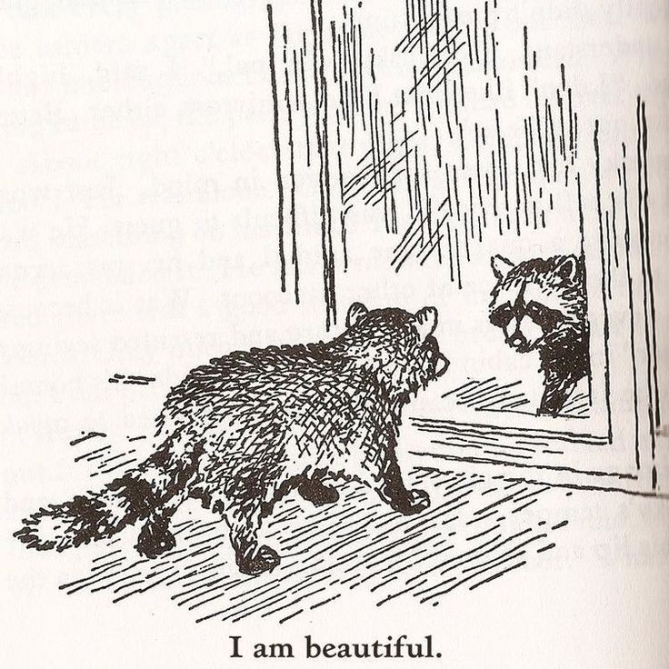 an animal that is looking at another animal in the mirror, with words written below it