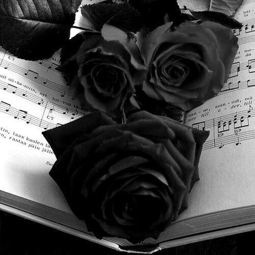 three roses sitting on top of an open book with music sheets in the background and sheet music