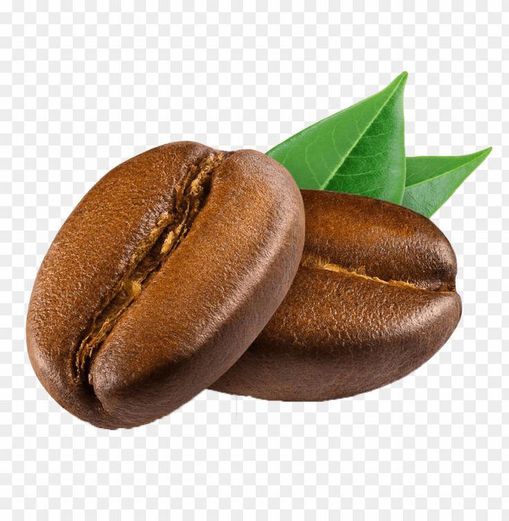 two coffee beans with green leaves on top