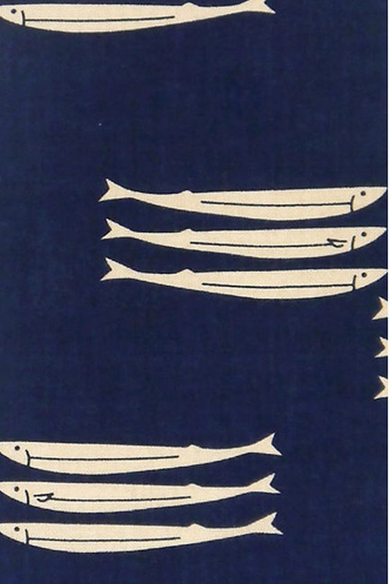 four different types of fish on a dark blue background with white lines in the middle