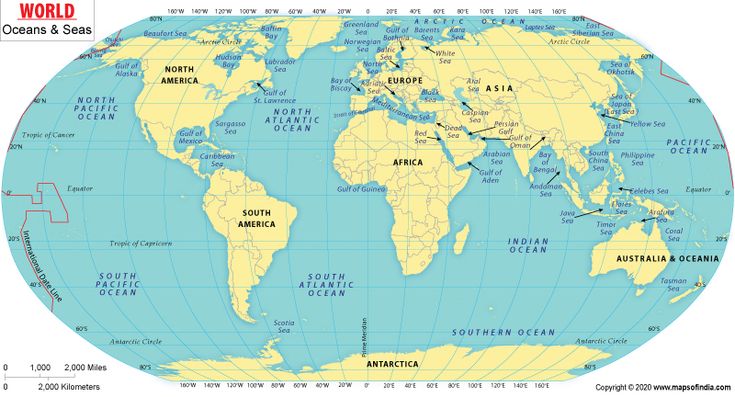 a world map with the names of countries and seas on it's globe line