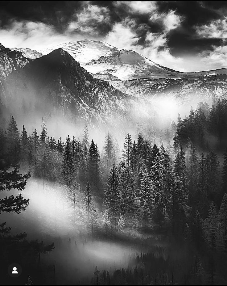 a black and white photo of mountains with trees in the foreground, surrounded by fog