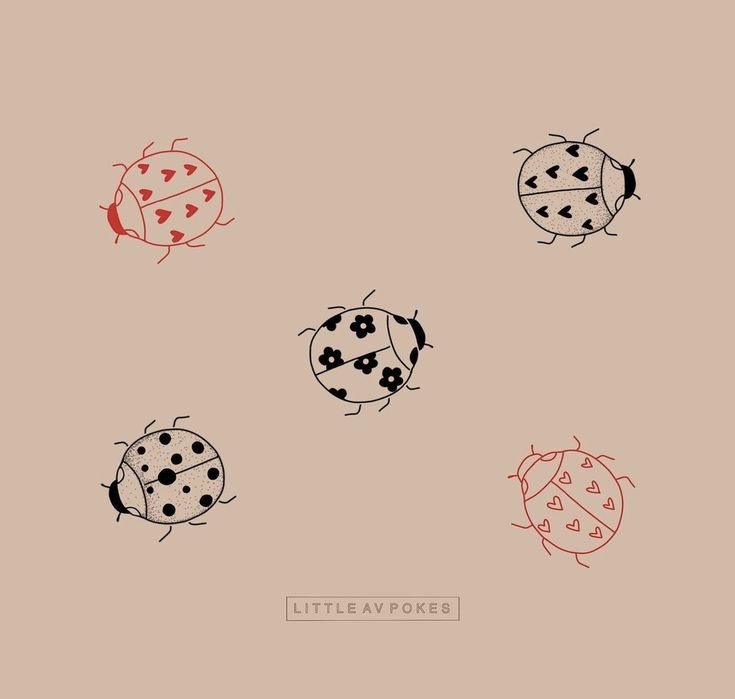 four different colored ladybugs sitting on top of each other in the same pattern