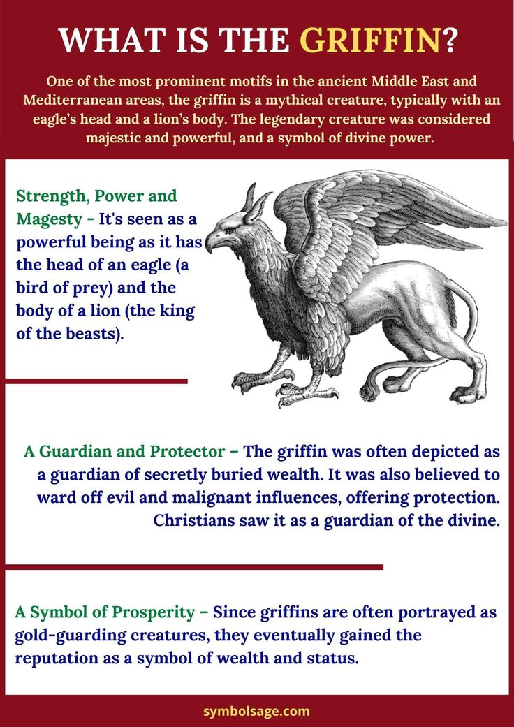 an image of what is the griffin?