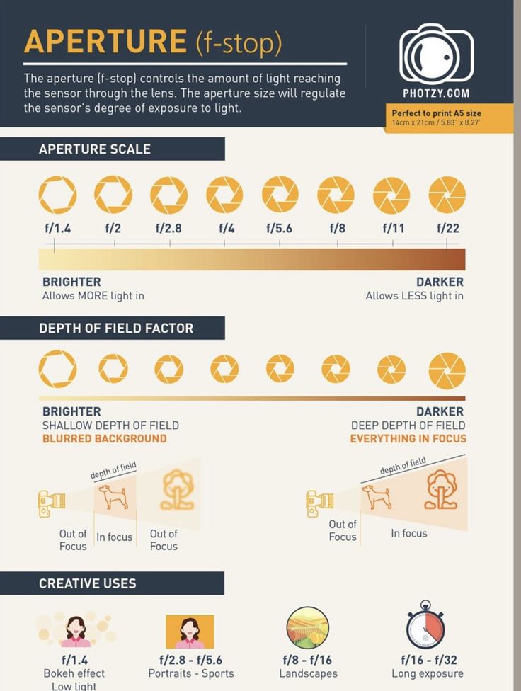 the history of camera exposure info sheet