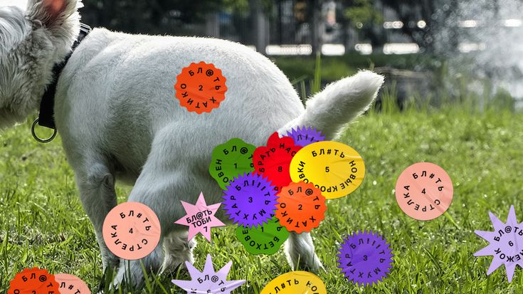 a white dog standing on top of a lush green field next to colorful pinwheels