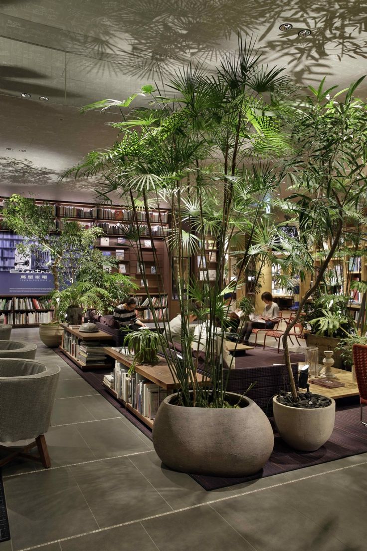 a library filled with lots of books and plants