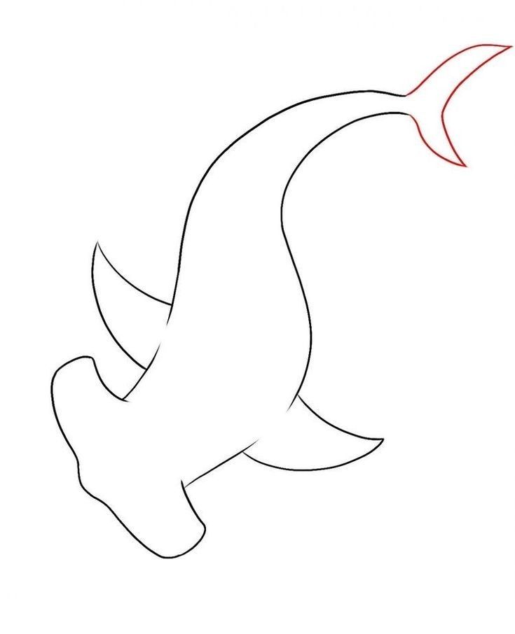 the outline of a fish is shown in black and white, with red lines on it