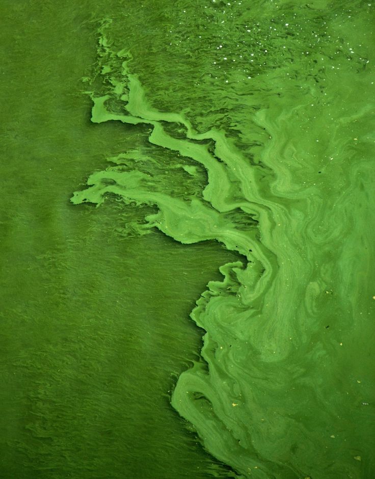 an aerial view of green water with waves and bubbles on it's surface, as seen from above