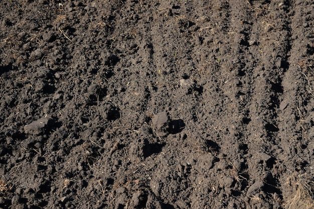 the ground is covered with dirt and has small holes in it to make them look like they are digging for food