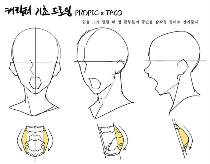 When the mouth opens up (really really big), draw the ends of the mouth so that it forms a triangle. Taco 1704, Open Mouth Drawing, Taco Drawing, 얼굴 드로잉, Mouth Drawing, 얼굴 그리기, Body Drawing Tutorial, Manga Drawing Tutorials, Anatomy Sketches