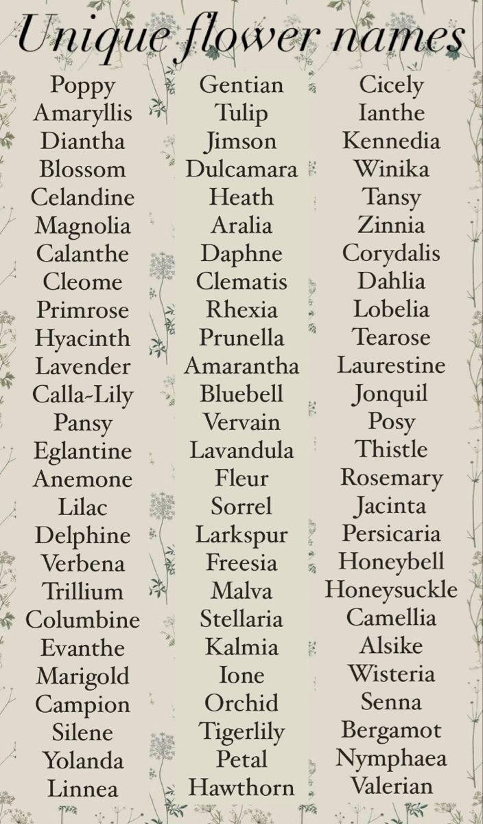 Unique flower names for baby girl or boys. Pretty Flowers Names, Aesthetic Flowers Name, Female Character Names List, Uncommon Names Unique, Flower Related Names, Fantasy Flower Names, Masculine Character Names, Forest Related Names, Names Book Characters