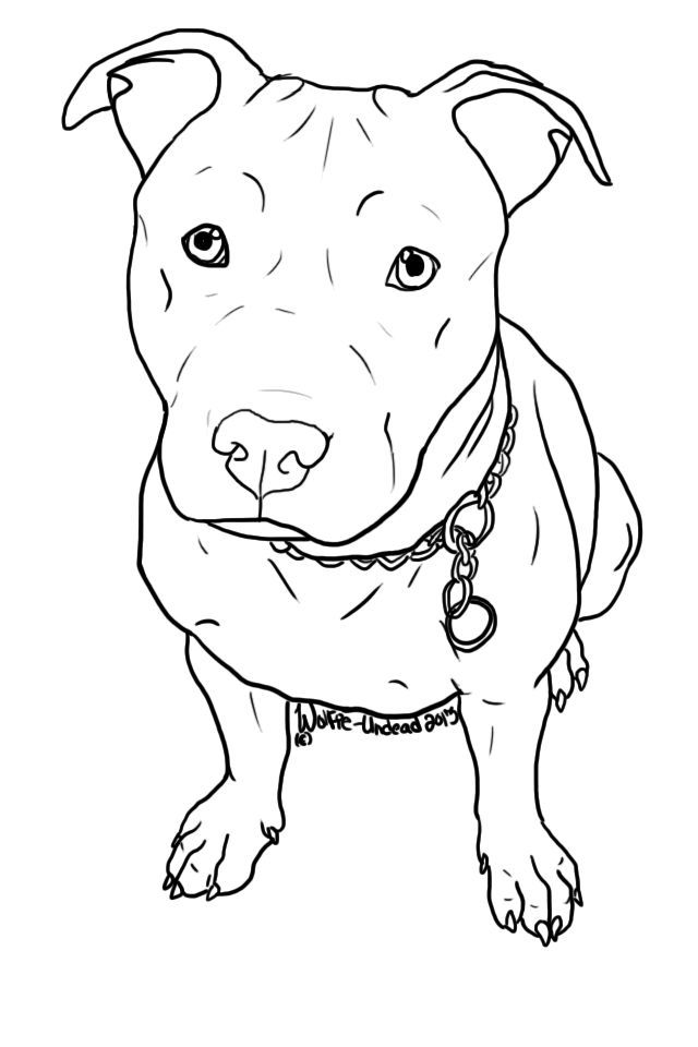 a drawing of a dog that is looking at the camera