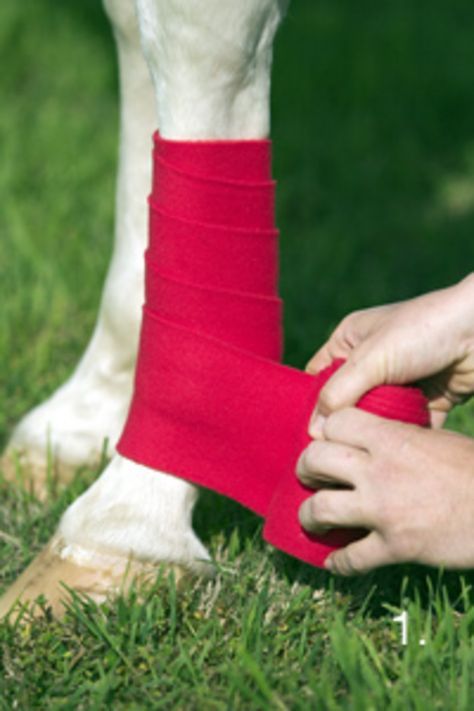 a person is holding the leg of a horse with a bandage around it's ankle