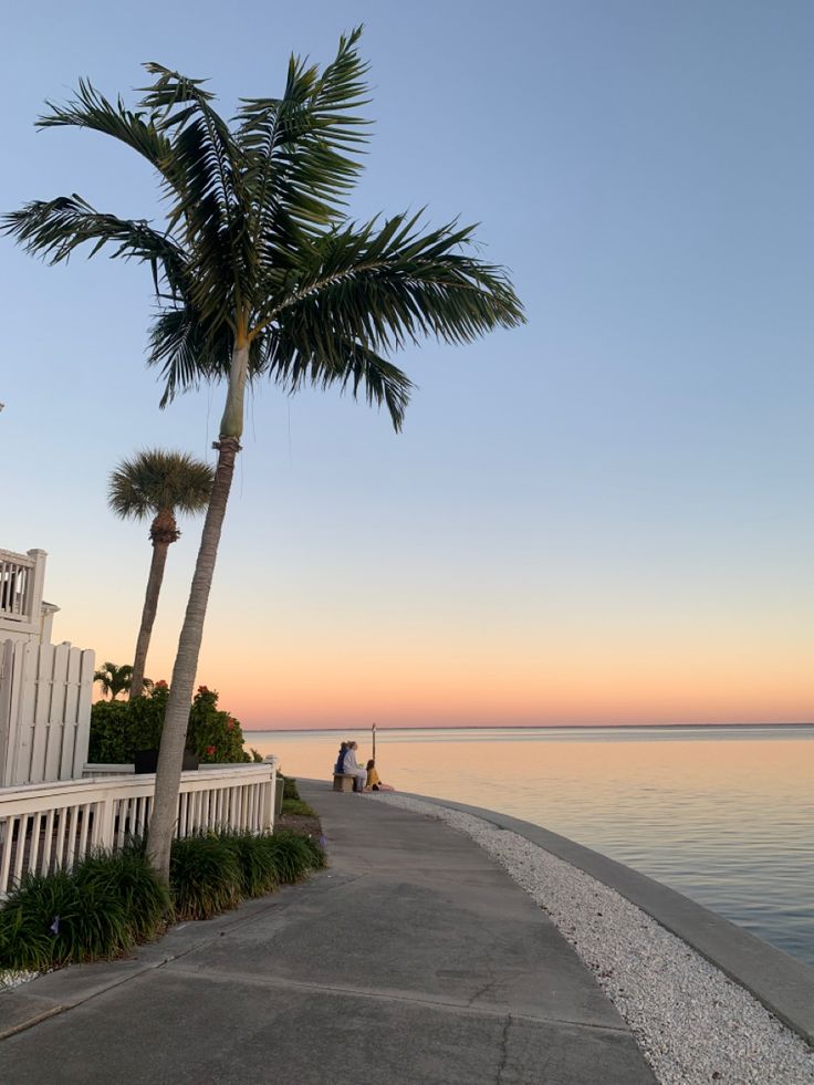 two people sitting on a bench next to the ocean at sunset with palm trees in the foreground