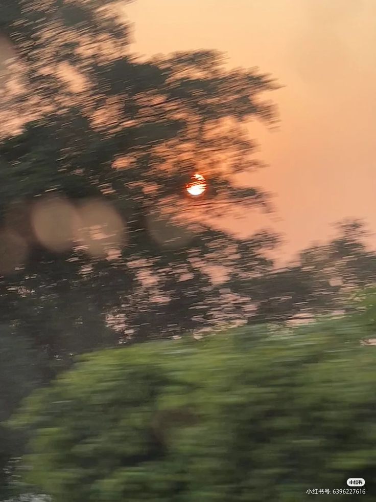 the sun is setting behind some trees in the distance as seen from a moving vehicle