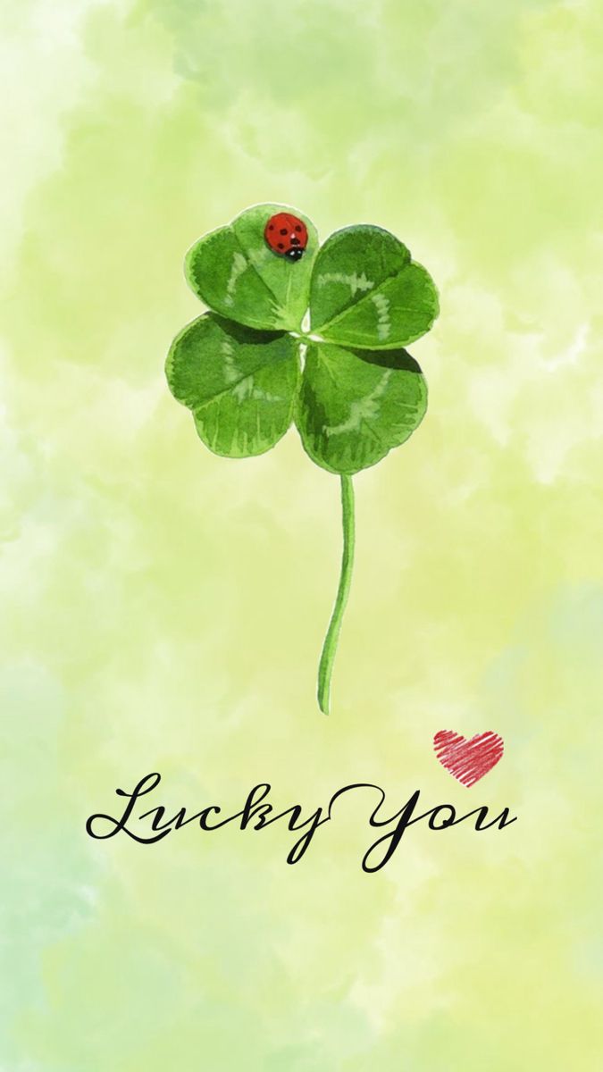 a four leaf clover with a ladybug on it's back and the words lucky you