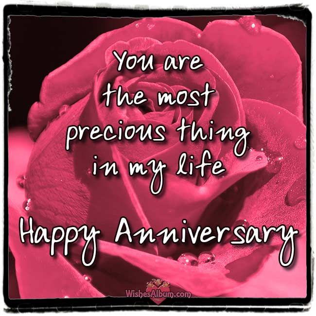 a pink rose with the words you are the most precious thing in my life happy anniversary