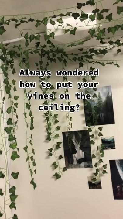 ivy growing up the side of a wall next to pictures and text that reads, always wondering how to put your vines on the ceiling?