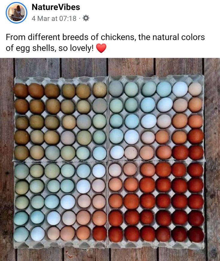 an egg carton filled with eggs sitting on top of a wooden table next to other eggs