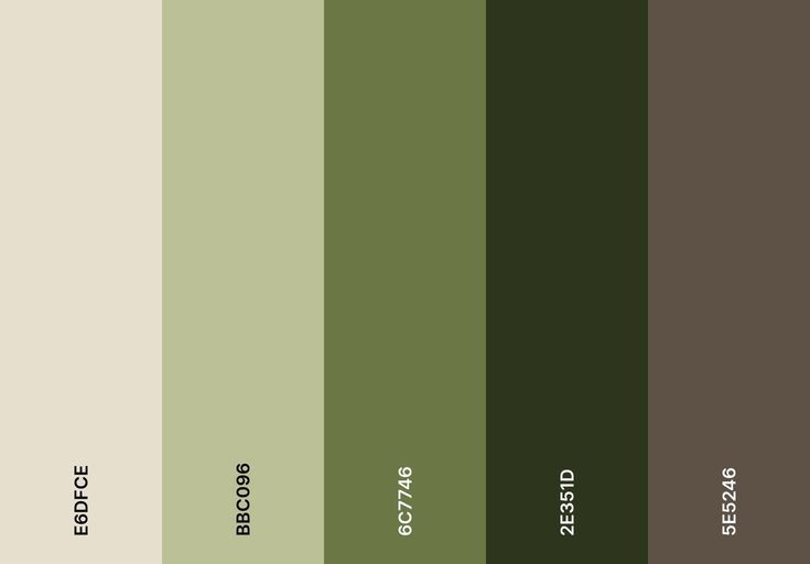 the color palette is green and brown