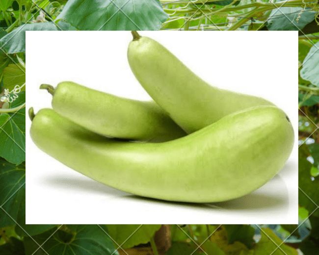 three green bananas sitting next to each other on top of a plant covered in leaves