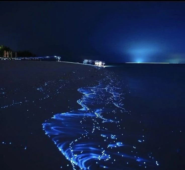 the water is glowing blue at night on the beach