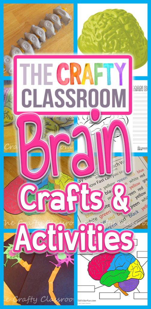 the crafty classroom brain crafts and activities