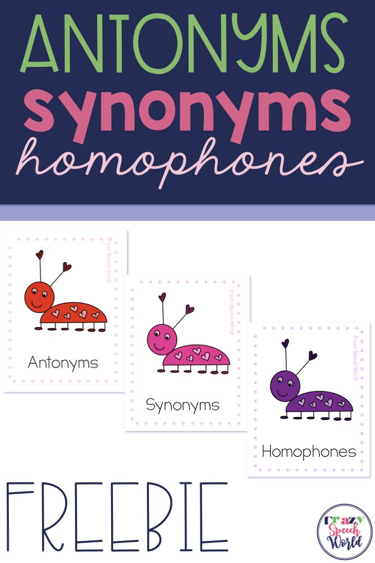 an info sheet with the words antonys, homophones and freebie on it