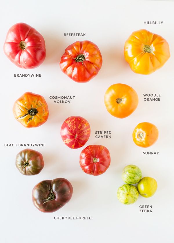 different types of tomatoes on a white background with the names in english and italian letters